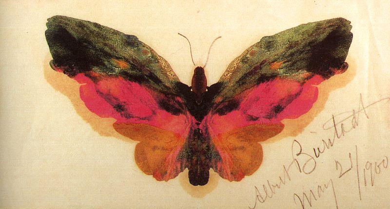 Albert Bierstadt Butterfly